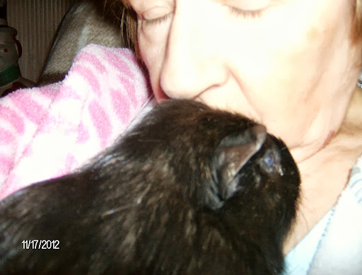 Nancy Skinner Photo 19