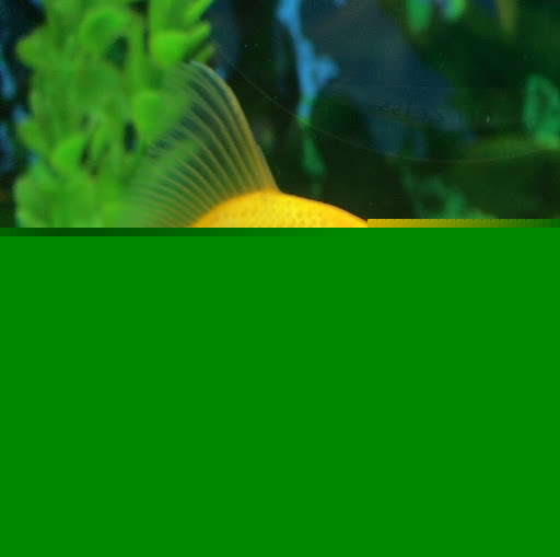 Stephen Kauffman Photo 13