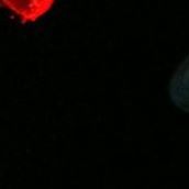 Tony Newton Photo 20