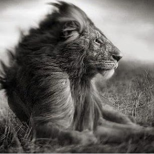 Nicholas Leach Photo 17 Nicholas Leach Photo 17