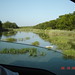 Allison Parks Photo 8