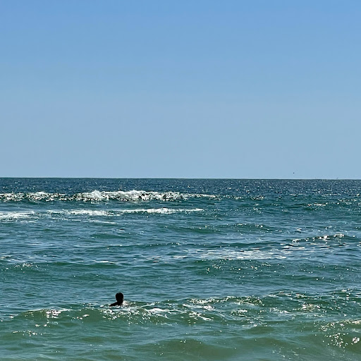 Nancy Bristow Photo 19