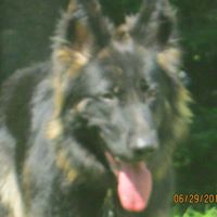 Barbara Severance Photo 11