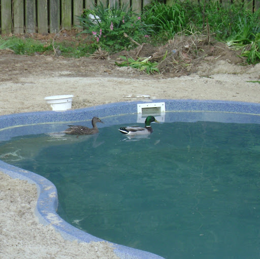 Frank Gallagher Photo 17 Frank Gallagher Photo 17