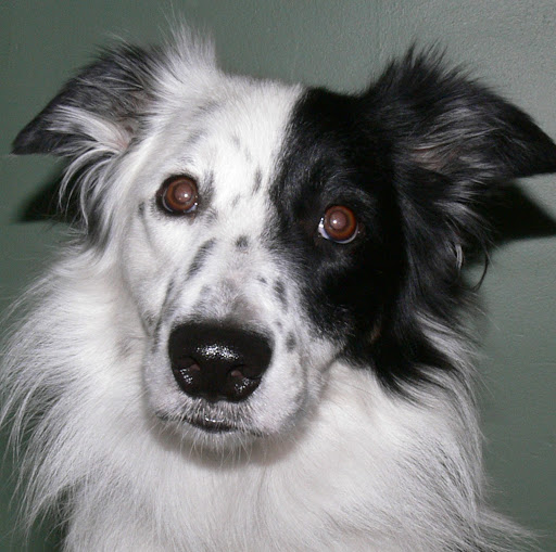 Connie Griffin Photo 17 Connie Griffin Photo 17