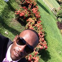 Stephen Mclean Photo 16