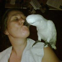 Cynthia Buboltz Photo 1