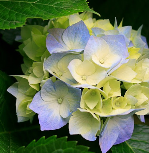 Justine Santos Photo 5