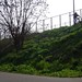 Ryan Alexander Photo 7