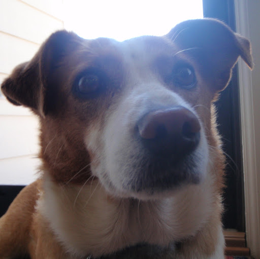 Stacey Wall Photo 11