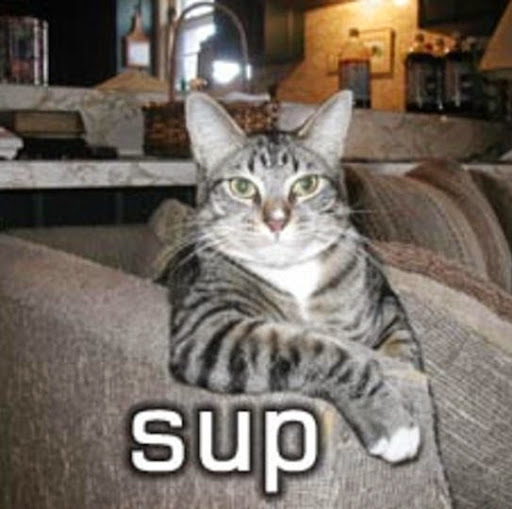 Lewis Ellis Photo 28