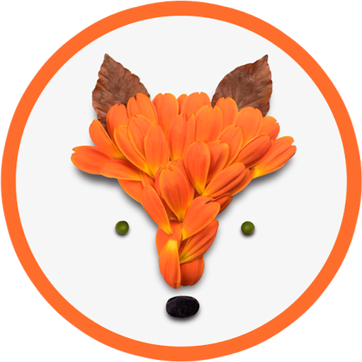 Kelly Crull Photo 22