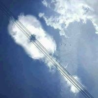 Elizabeth Wendt Photo 11