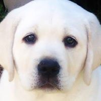 Annie Mcdaniel Photo 19