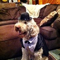 Jason Mckim Photo 11