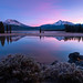 Mark Sparks Photo 18