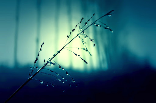 Nathan Jacobson Photo 15 Nathan Jacobson Photo 15