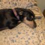 Kimberly Rowley Photo 6