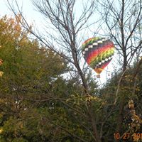 Eileen Mcdaniel Photo 16