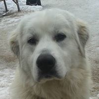 Robert Bulger Photo 12