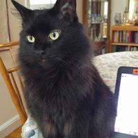 Julia Blanchard Photo 39