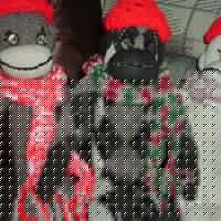 Barbara Colon Photo 5