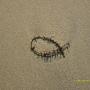 Ann Richey Photo 11