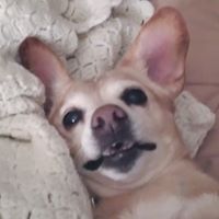 Laurie Jackson Photo 33