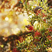 Susan Berry Photo 40
