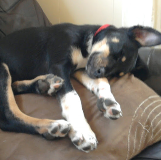 Mary Macfarlane Photo 12