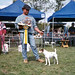 Wayne Tucker Photo 44