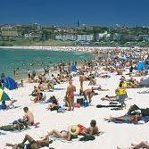 George Stein Photo 22