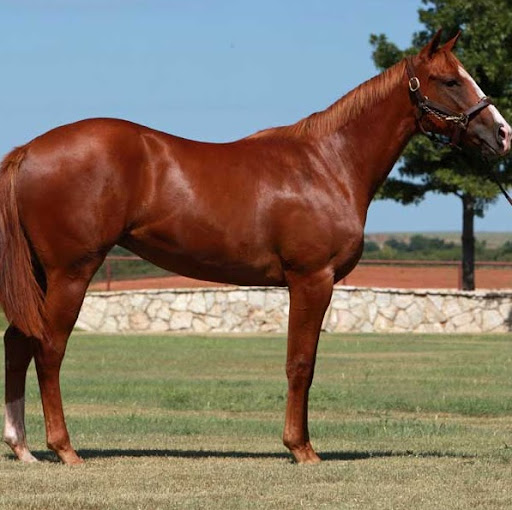 Gerry Horton Photo 8