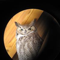 Peiting Tsai Photo 1