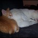 Kathy Jasper Photo 29