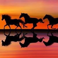 Jessica Isbell Photo 31