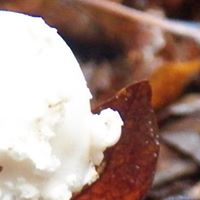 Regina Bush Photo 17