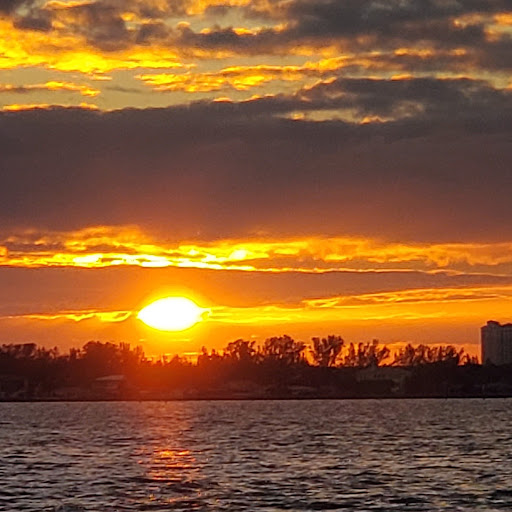 Diane Schultz Photo 22