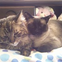 Nancy Lindberg Photo 9 Nancy Lindberg Photo 9