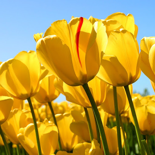 Sarah Hills Photo 16