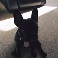 Angela Packer Photo 13