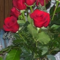 Kelly Jacobson Photo 12