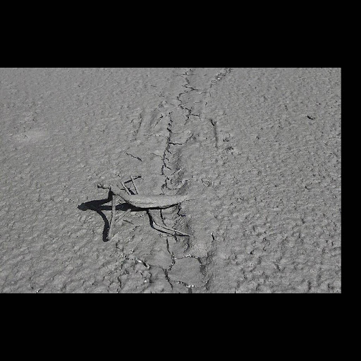 Joseph Gannon Photo 35 Joseph Gannon Photo 35