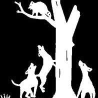 Calvin Stephens Photo 21