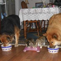 Sandra Richter Photo 22