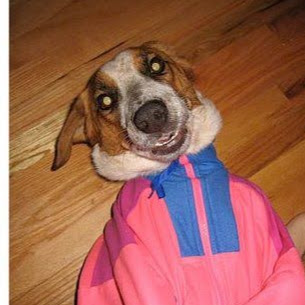 Lisa Buckley Photo 36 Lisa Buckley Photo 36