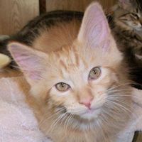 Chris Biddle Photo 15