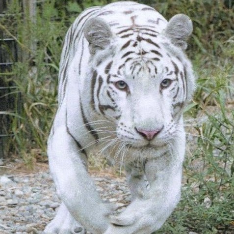 Janet Zimmerman Photo 38