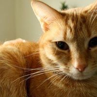 Rachel Murphy Photo 9