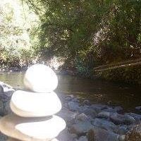 Michael Bentley Photo 17 Michael Bentley Photo 17